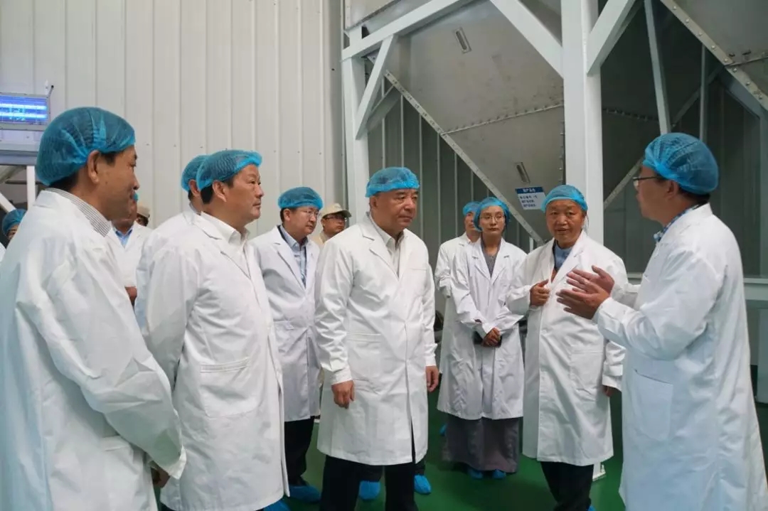 币游·国际(中国)官方网站