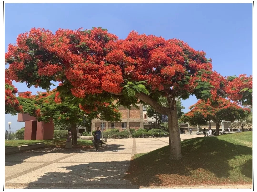 币游·国际(中国)官方网站