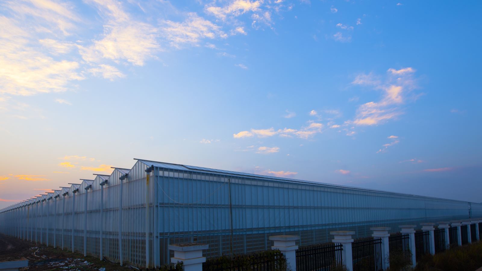 币游·国际(中国)官方网站