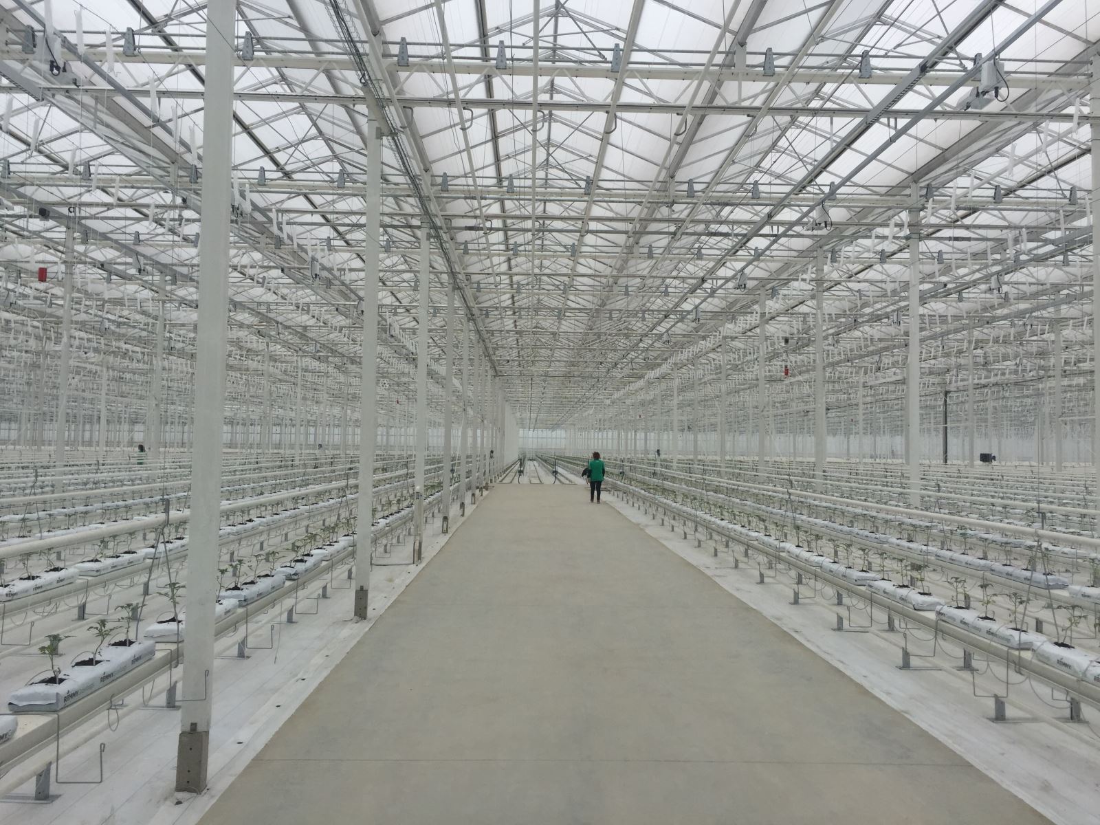 币游·国际(中国)官方网站