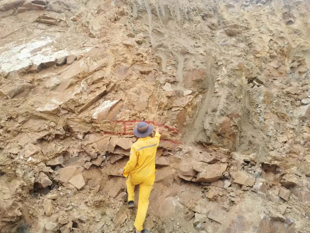 币游·国际(中国)官方网站